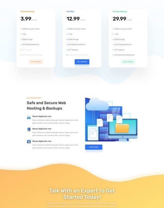 Hosting Company Landing Page